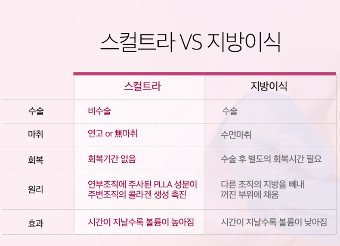 스컬트라 지방이식 비교 강남피부과 닥터에버스