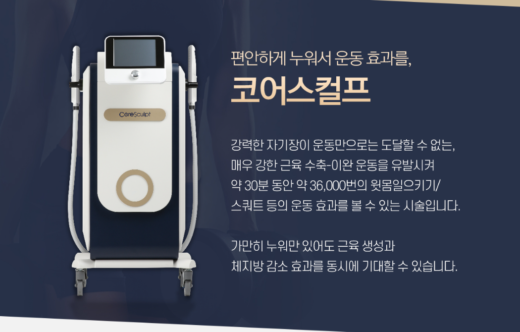 코어스컬프 주기 강남피부과 닥터에버스